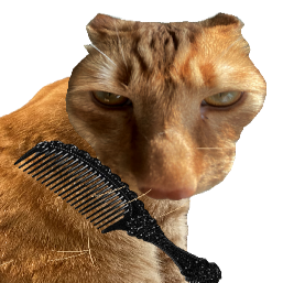 给猫梳毛手游