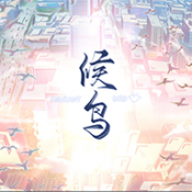 候鸟游戏