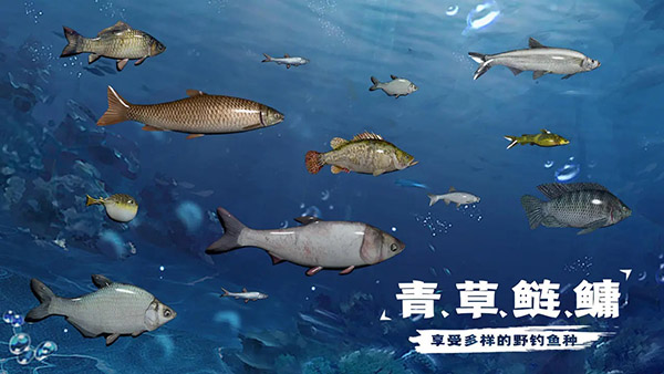 天天钓鱼2026截图2