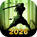 暗影格斗2中文版2026