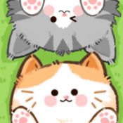 猫咪疗愈所