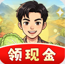 向往的日子游戏