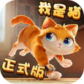 猫猫日记