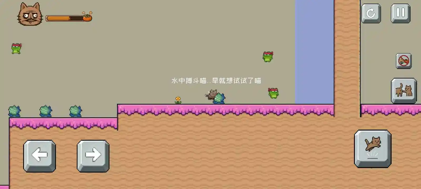 药柿了喵截图1