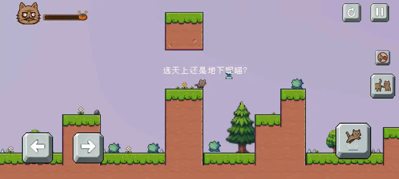 药柿了喵截图3