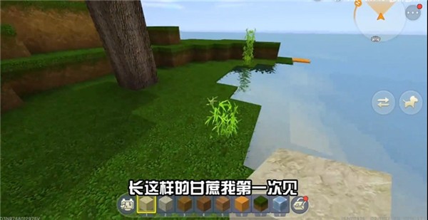 迷你世界写实版