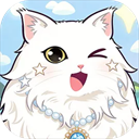 糖果猫正版