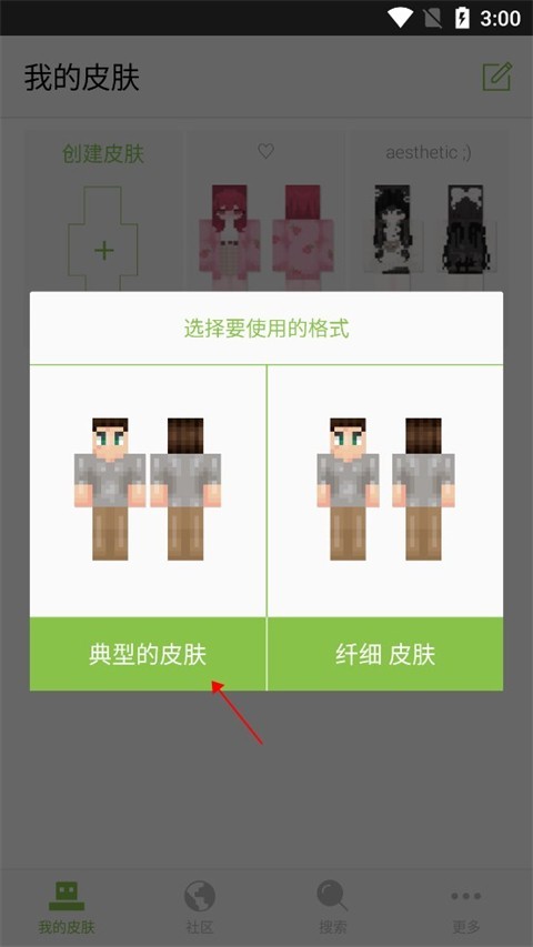 我的世界皮肤种子编辑器
