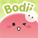 Bodii官方正版